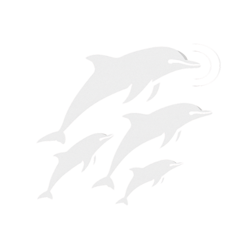 Consulting and Advisory